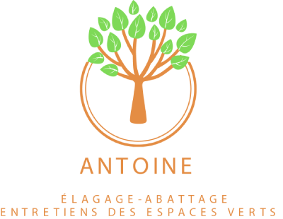 Antoine Elagage-Abattage 95